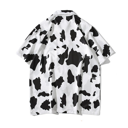 Street, impact, cow