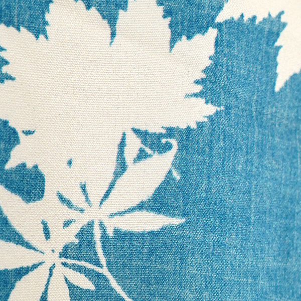 Blue maple, vintage