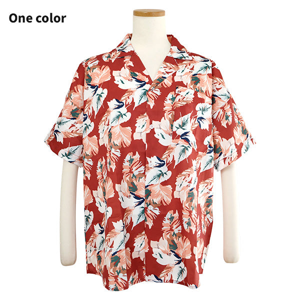 Calm terracotta aloha