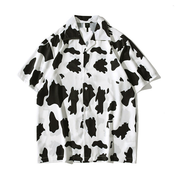 Street, impact, cow