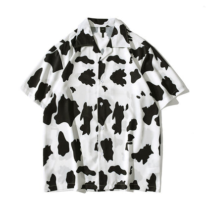 Street, impact, cow