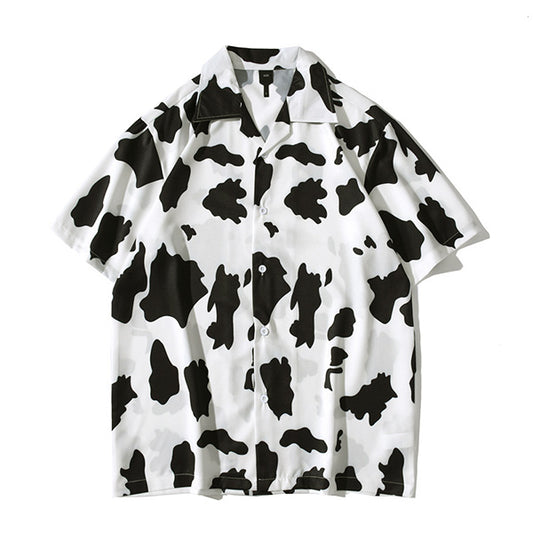 Street, impact, cow