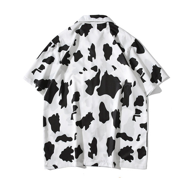 Street, impact, cow