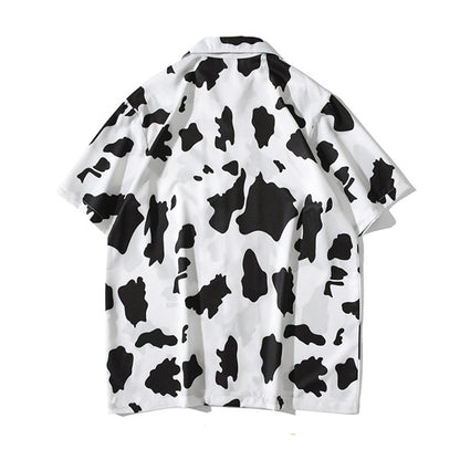 Street, impact, cow