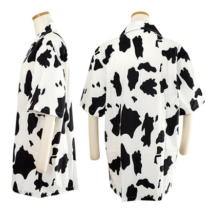 Street, impact, cow
