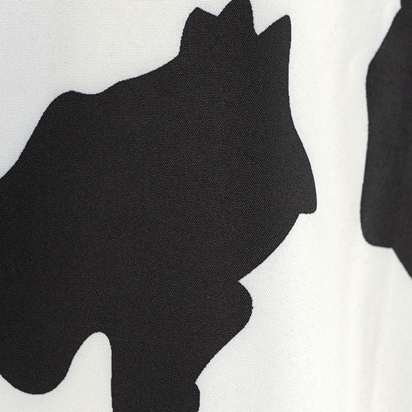 Street, impact, cow